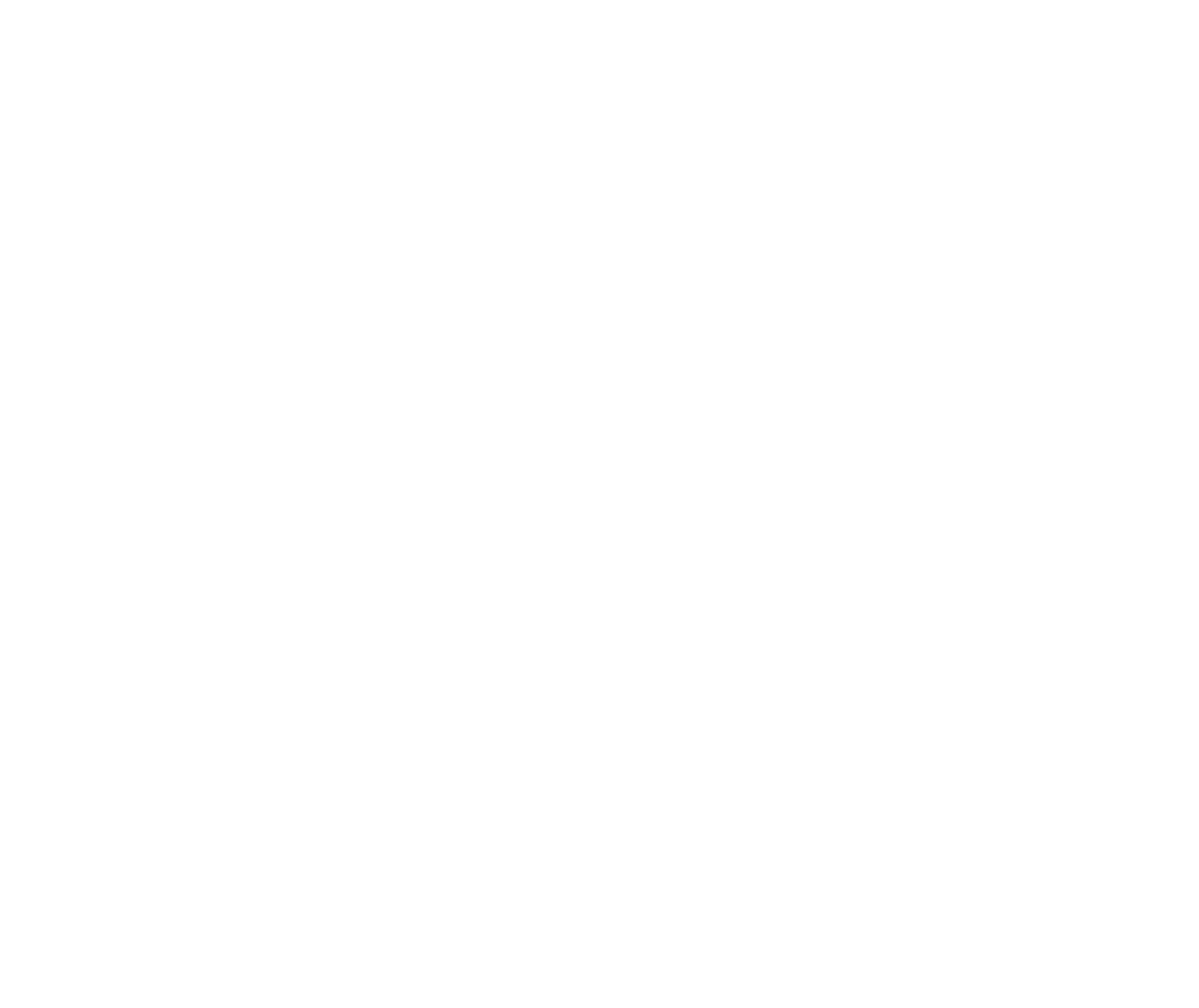 Hotel Salvi